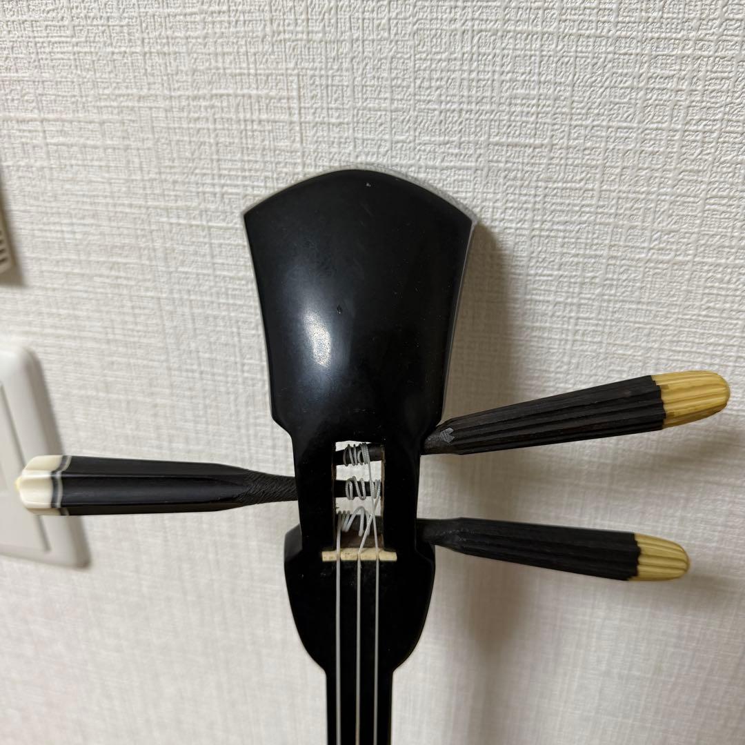 沖縄三線 人工皮 蛇柄 初心者向け 練習用 黒塗り棹