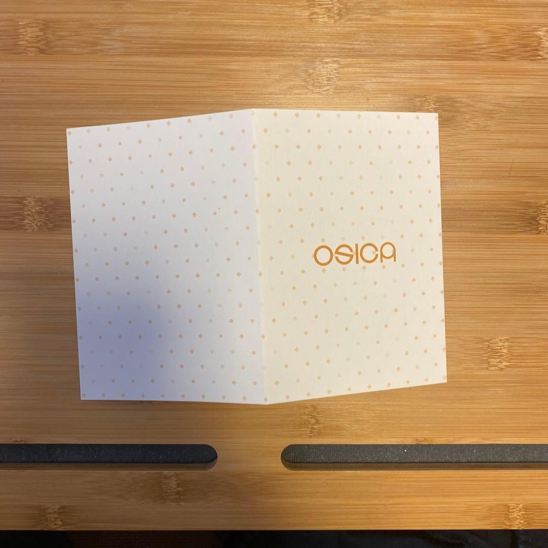 OSICA ライザのアトリエ　ライザ　直筆　サイン