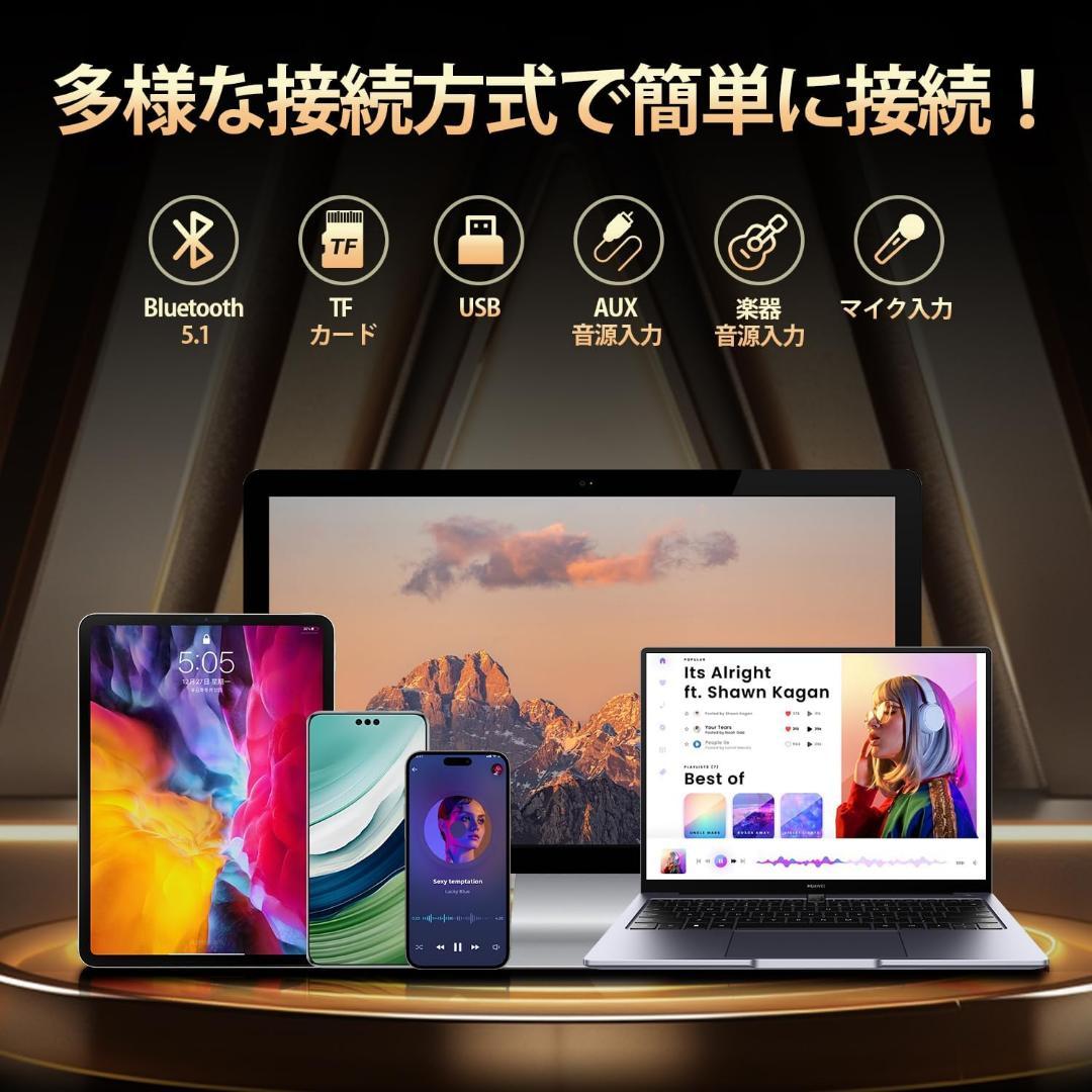 【M2309-122-90】JYX カラオケスピーカーセット マイク2本付