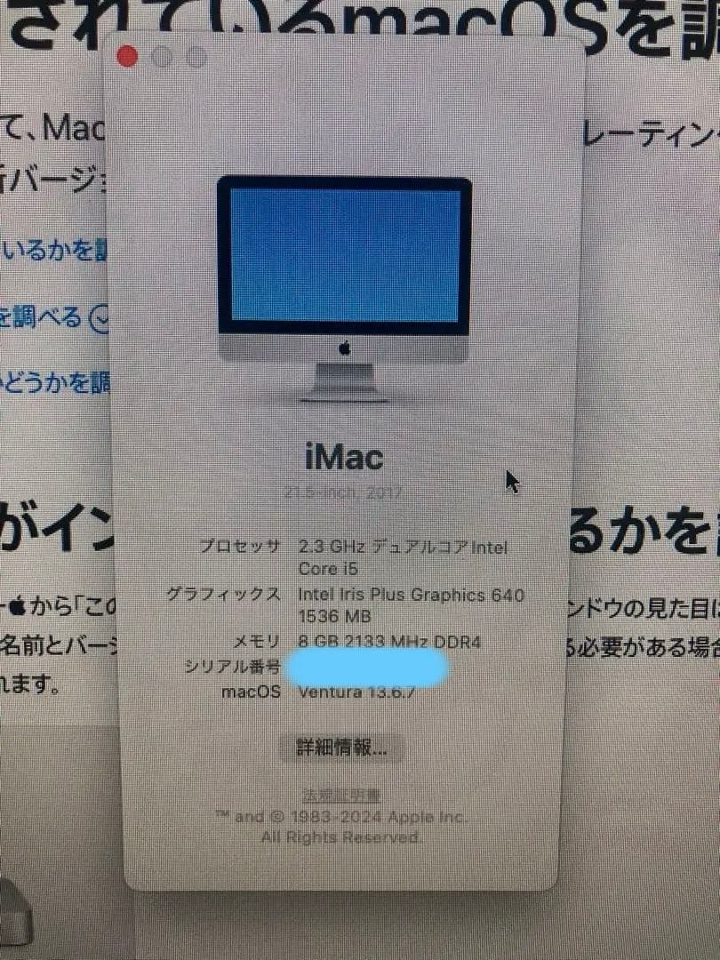 iMac (21.5-inch, 2017)/キーボード/マウス/USBドライブ