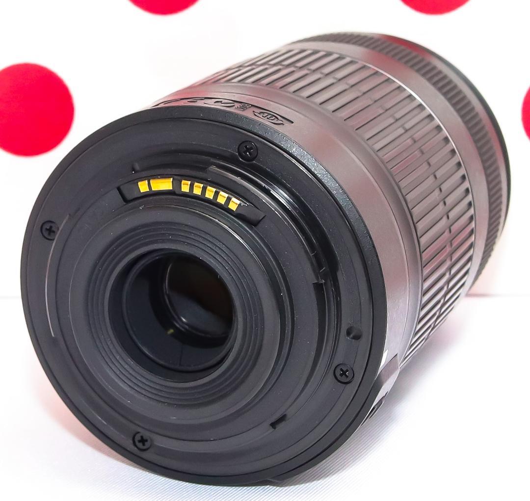 キャノン Canon EF-S 55-250mm IS II❤安心の手振れ補正付