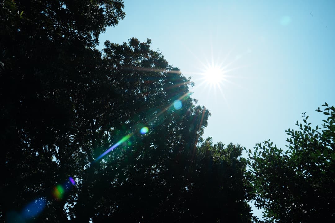 【美品】SONY FE24-70mm F2.8 GM SEL2470GM 469