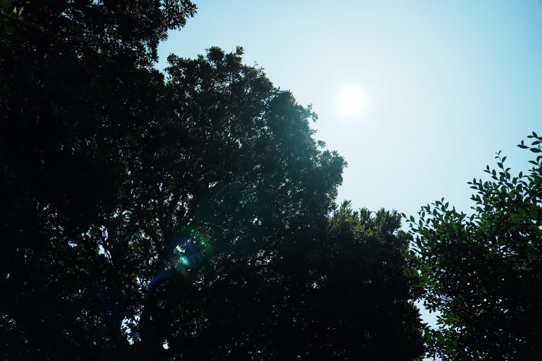 【美品】SONY FE24-70mm F2.8 GM SEL2470GM 469