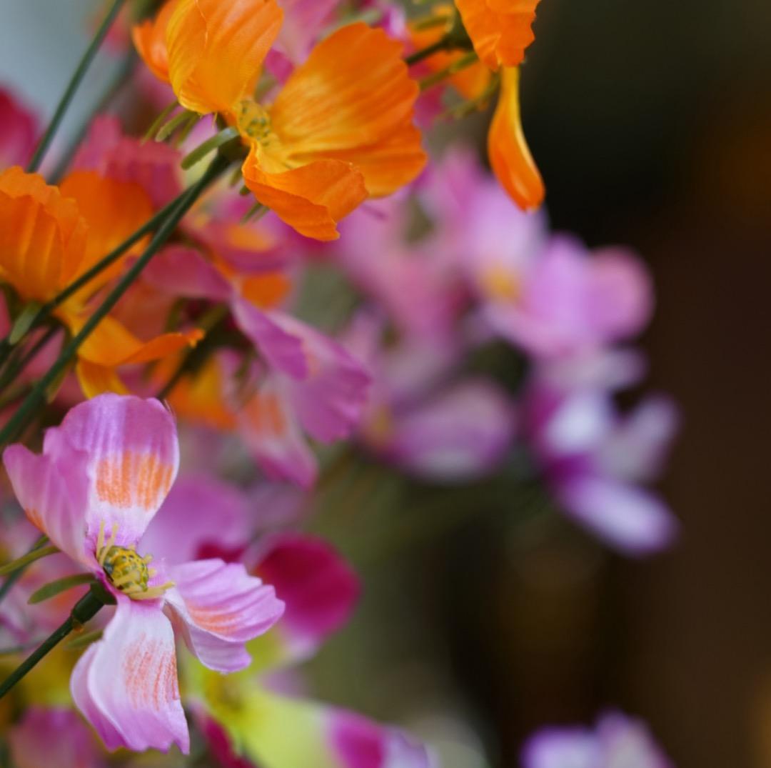 【保証付】SONY FE 24-105mm F4 G 極上品