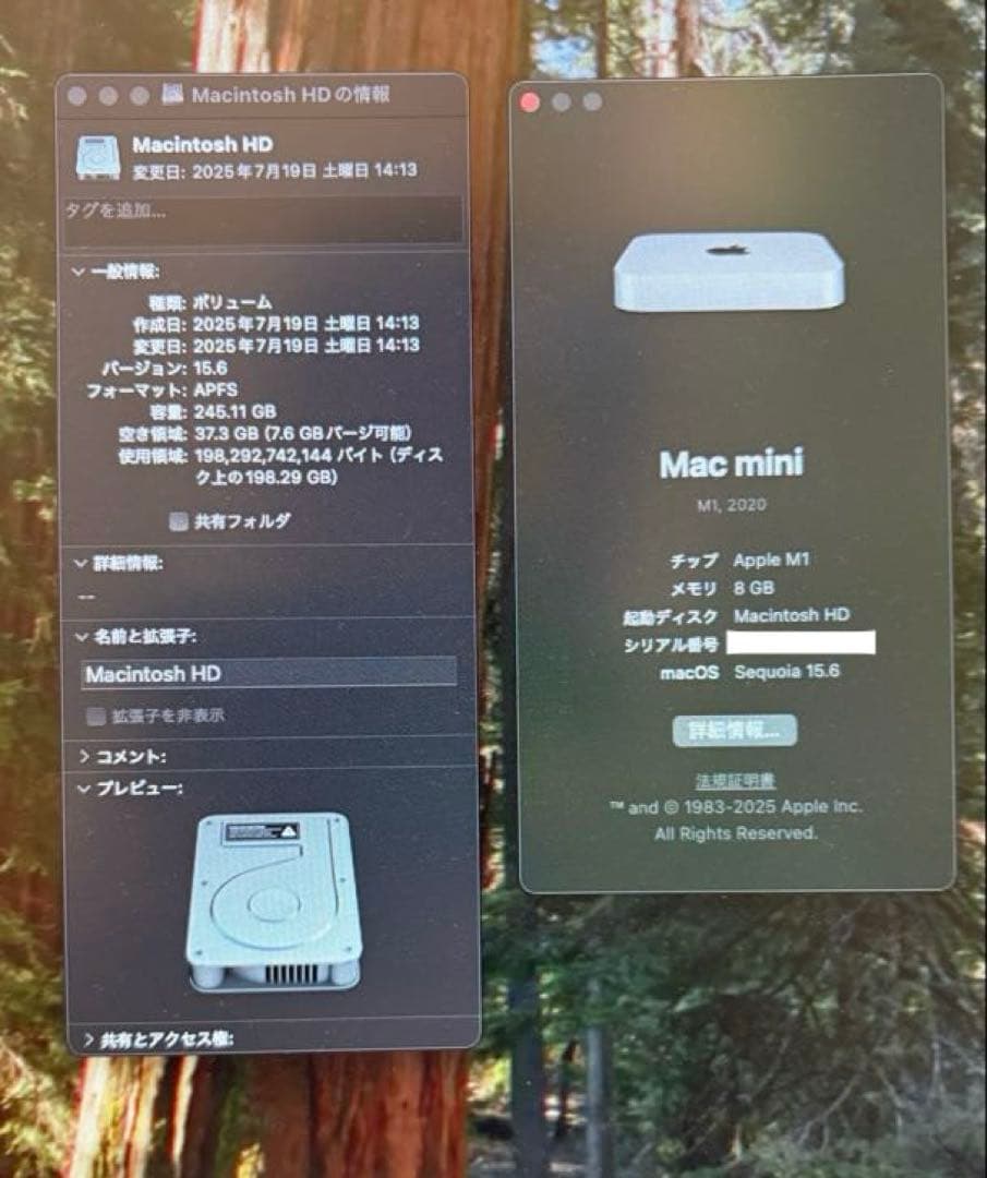 Macデスクトップ Apple Mac mini M1 A2348