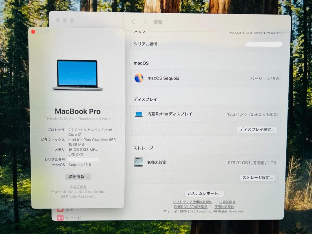 ★MacBook Pro 13 2018★i7/16GB/SSD 1TB
