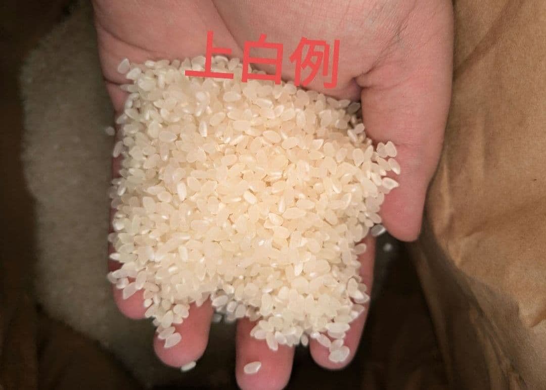 精米無料　令和7年度宮城県産　ひとめぼれ30キロ