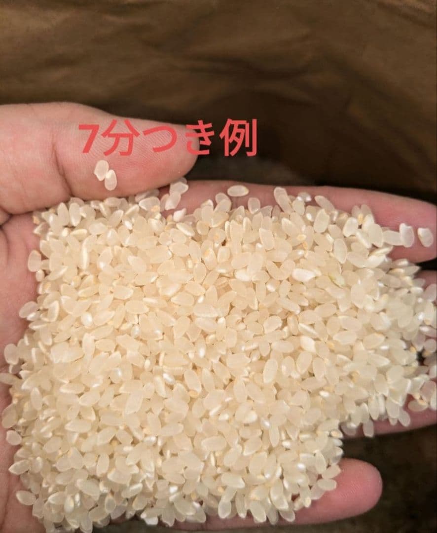 精米無料　令和7年度宮城県産　ひとめぼれ30キロ