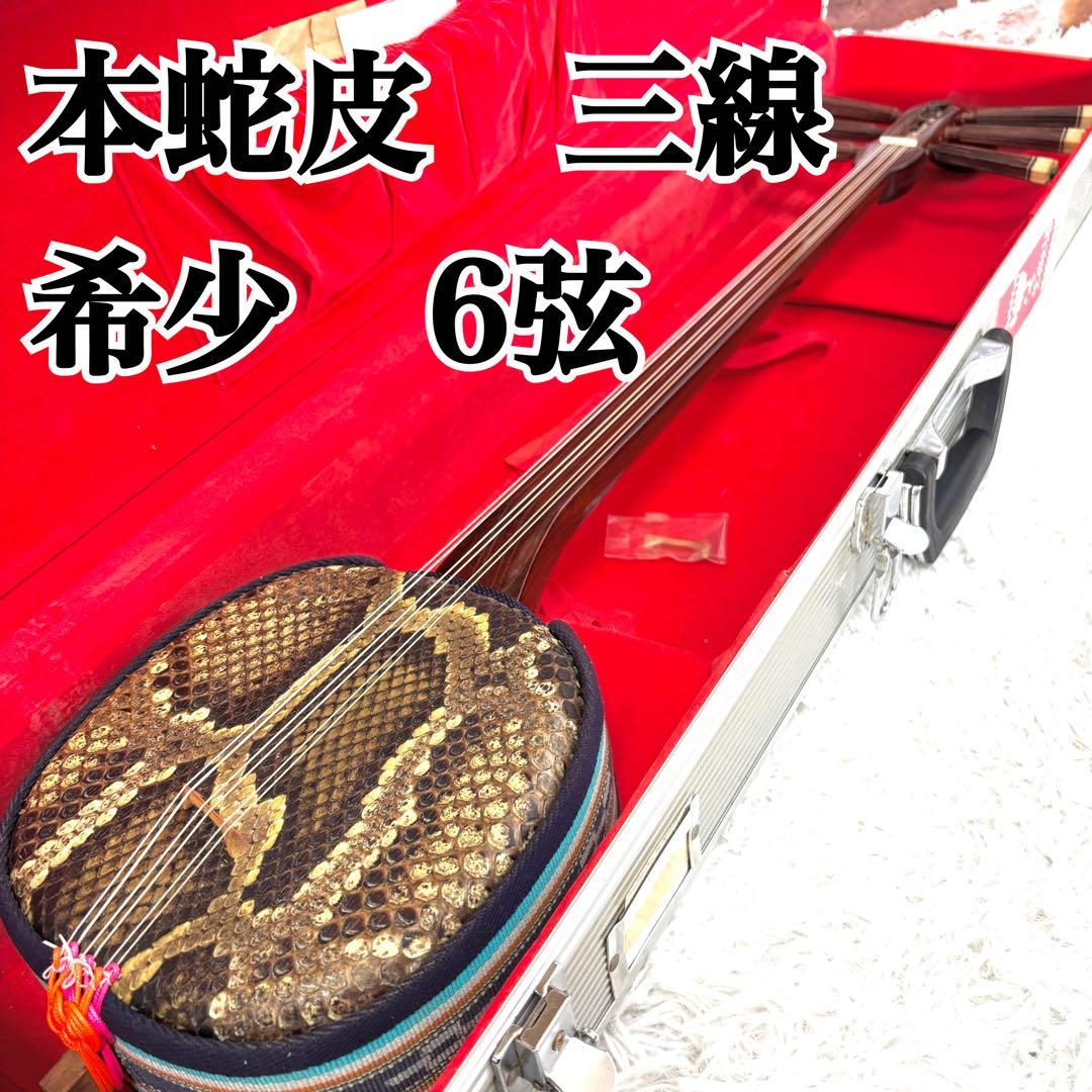 希少6弦✨美品✨沖縄 六線三線 本蛇皮 三味線 ハードケース 演奏可能