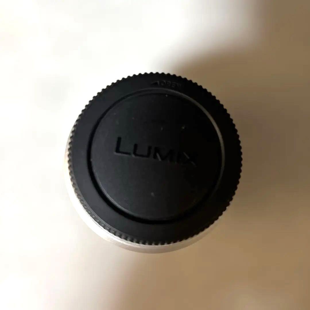 Panasonic LUMIX DC-GF9W ダブルレンズキット ミラーレス