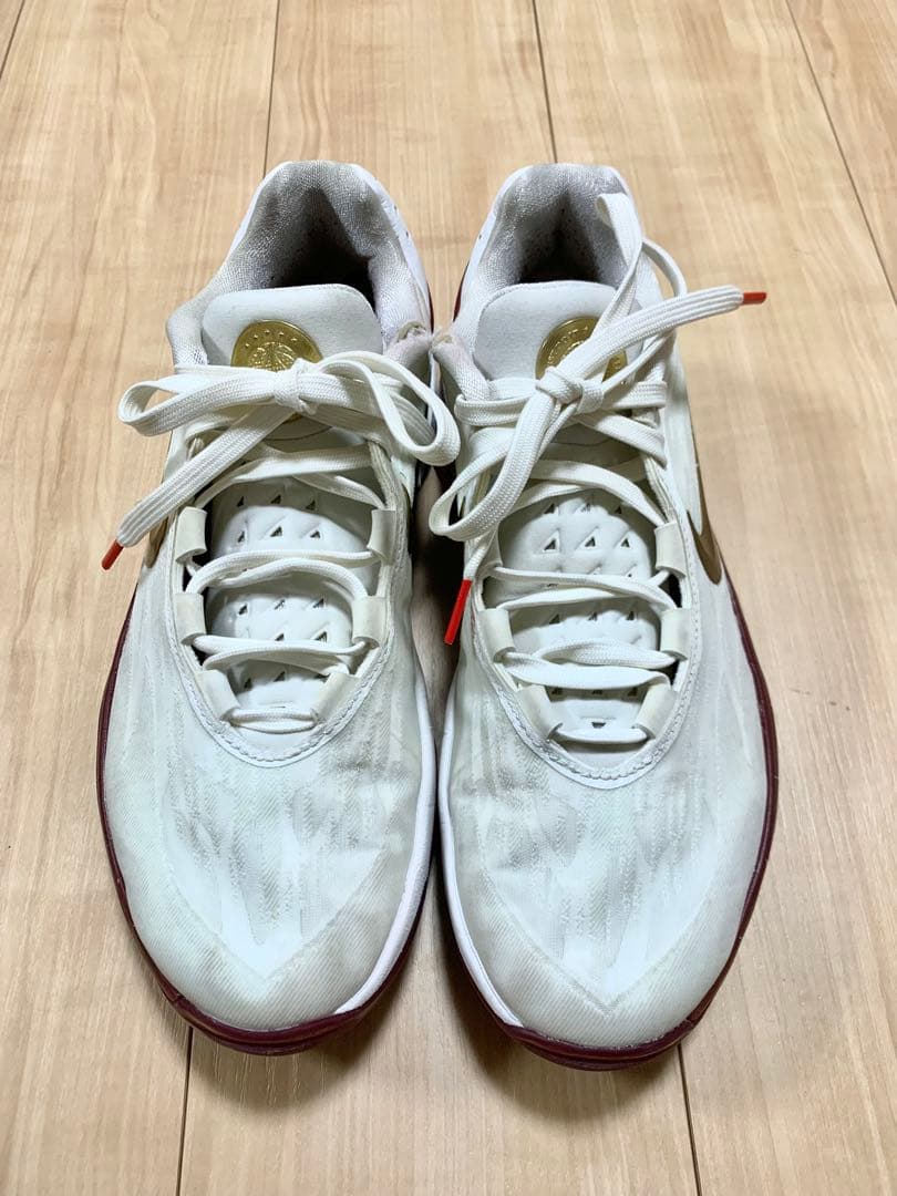 最終価格 レア ナイキ GTカット2 Sisterhood