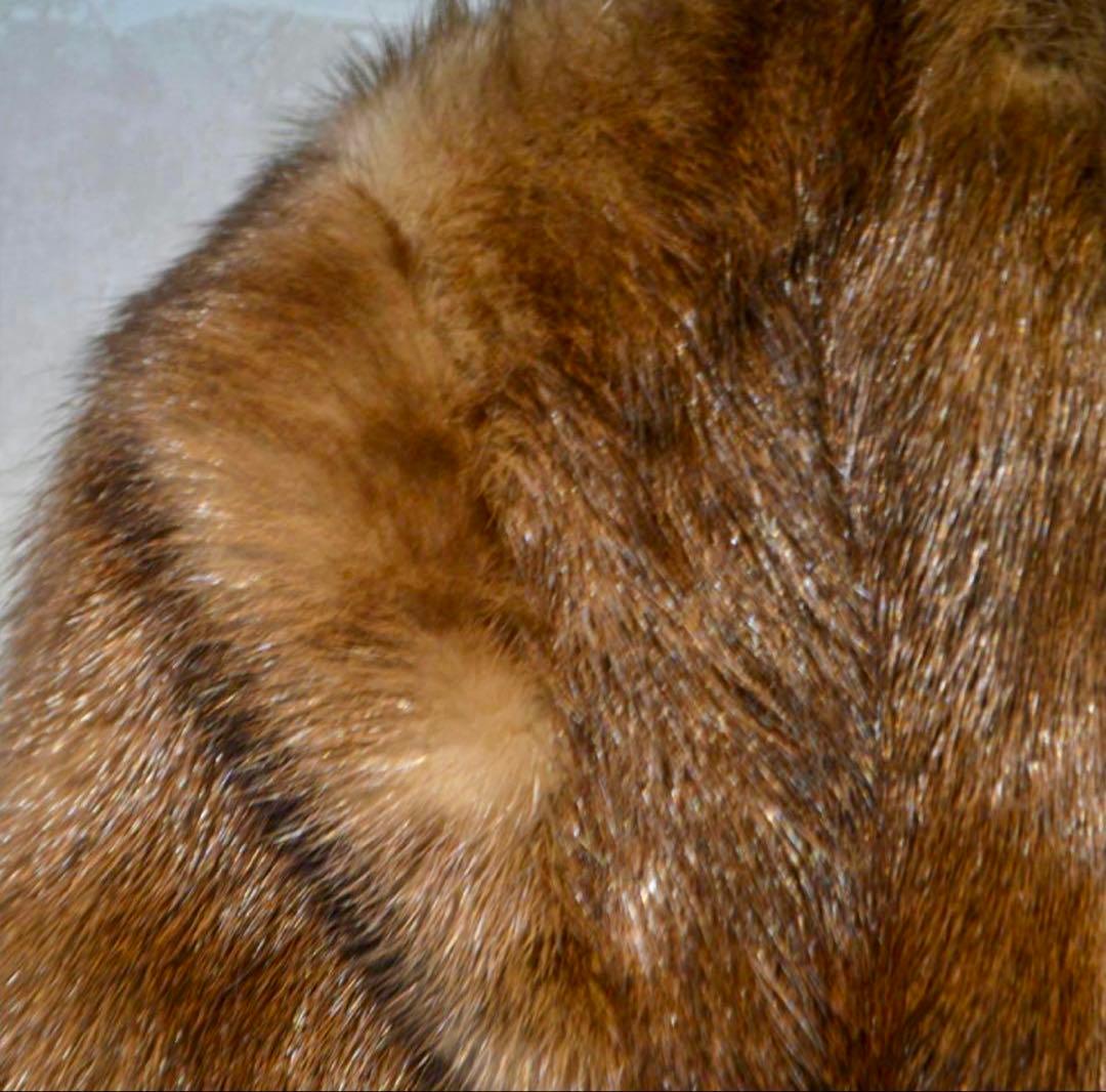 SAGA MINK ロングファーコート 11号 (L)