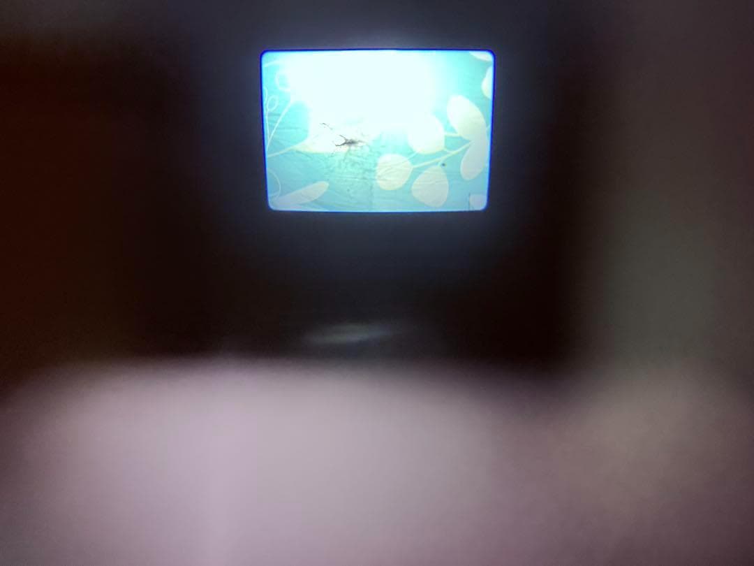 Canon Autoboy SⅡ XL 動作確認済