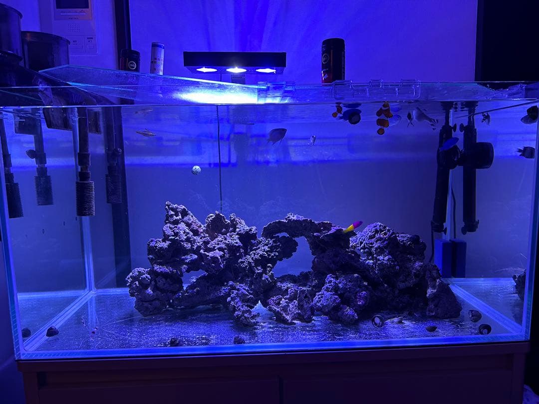 90センチ水槽セット90✖️45✖️45 直接取引可　茨城県水戸市