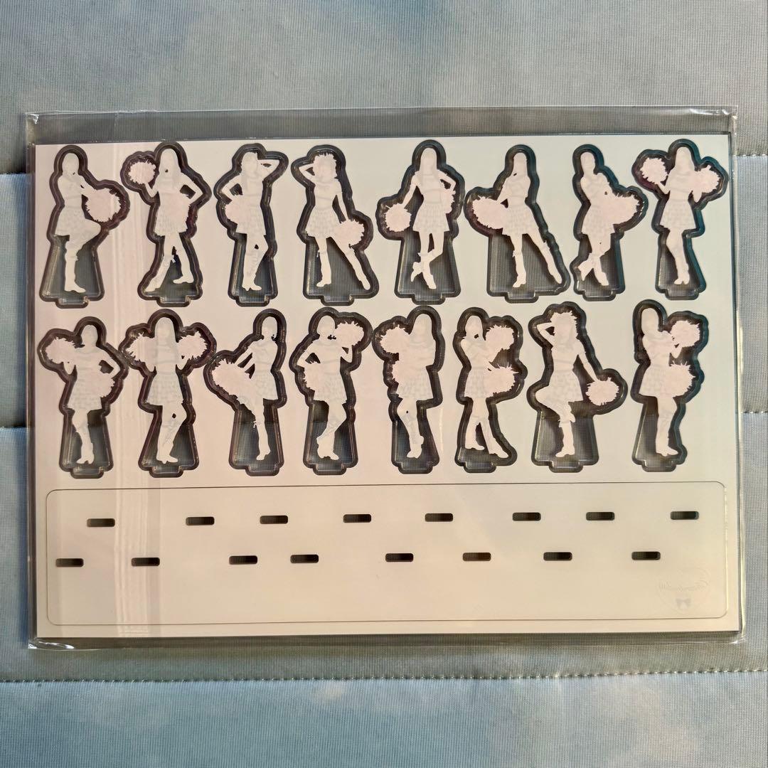 プ*ン様 中日ドラゴンズ☆チアドラ　２点セット　サイン色紙　アクリルスタンド