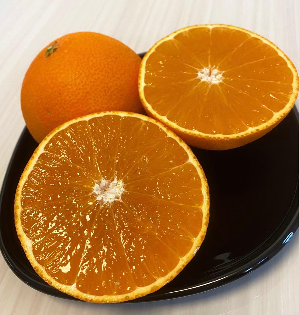 愛媛県産　愛果28号　柑橘　15kg