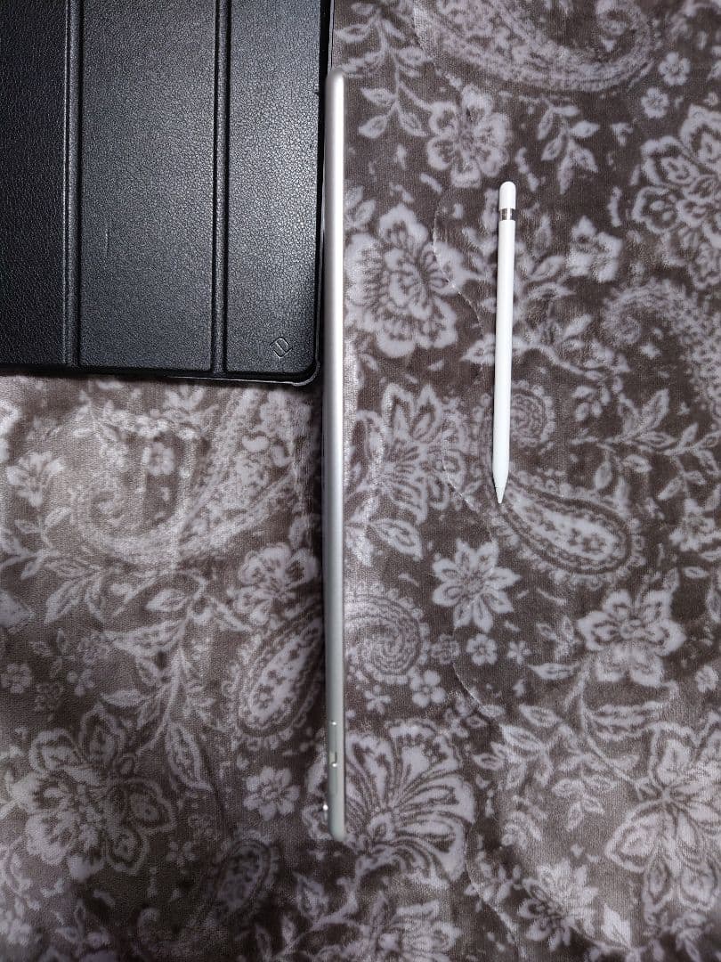 iPad pro10.5 256GB 本体 + Apple Pencil