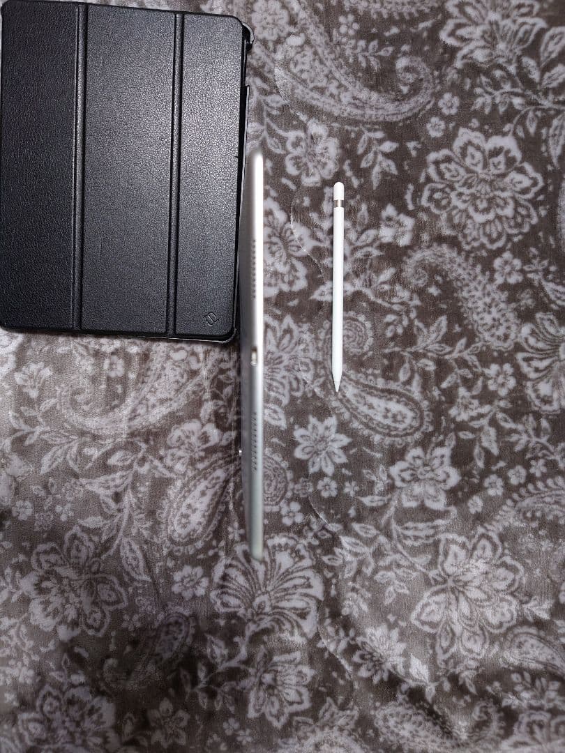 iPad pro10.5 256GB 本体 + Apple Pencil