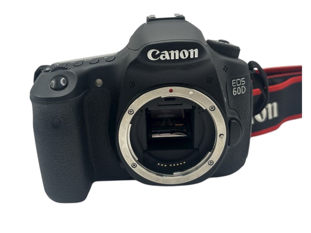 Canon EOS 60D レンズ 2個セット