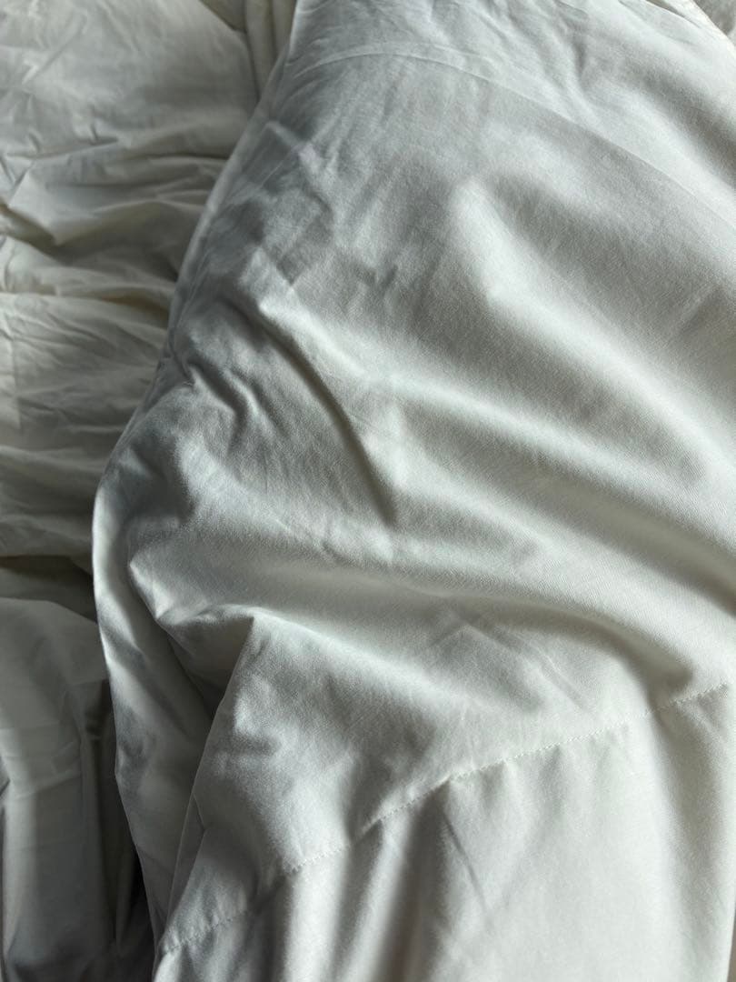 西川リビングのダブル羽毛布団190cm×210cmフルレーヌFullreanu