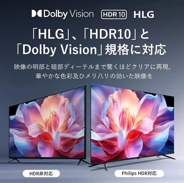 【公式/期間限定1,500円OFF】PHILIPS チューナーレステレビ 50型