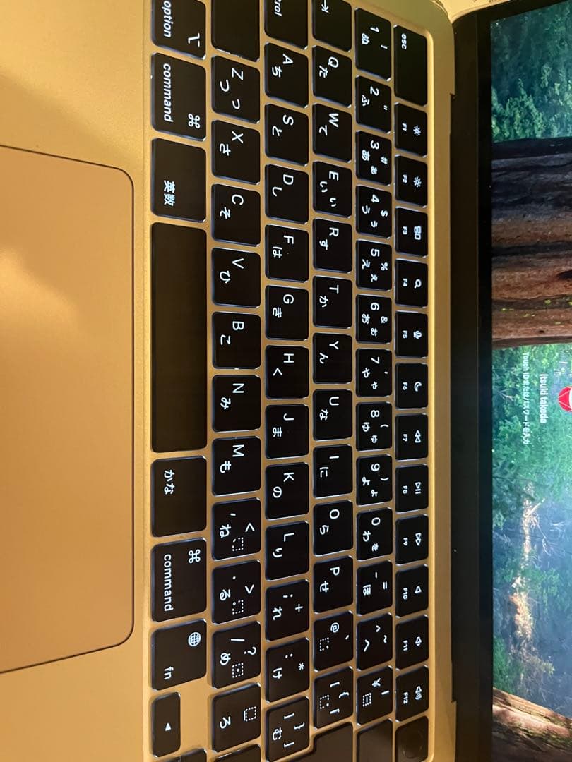 MacBook air M2 256GB/16GB バッテリー93%