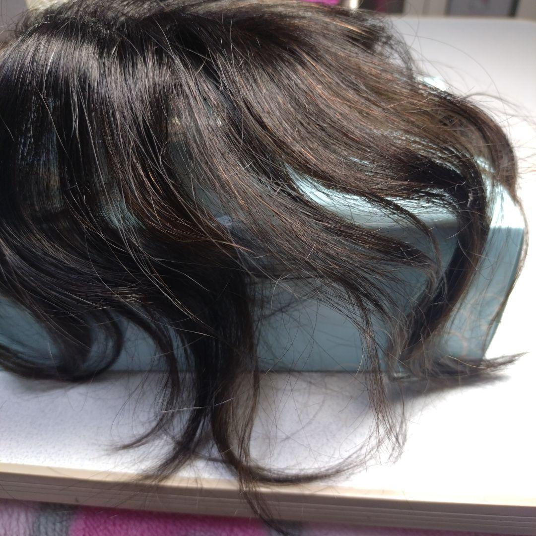 アートネイチャー ジュリアオージェ　エアリーウィッグ