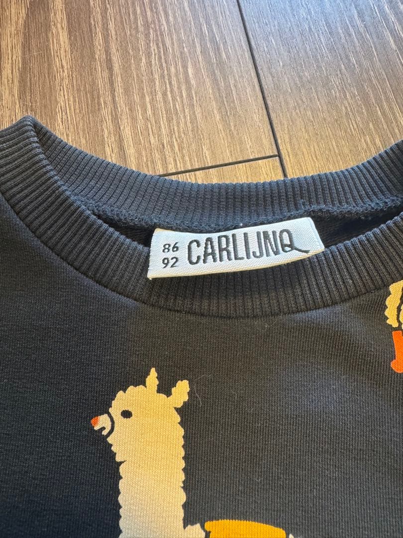 CARLIJNQカーラインク　アルパカセットアップ