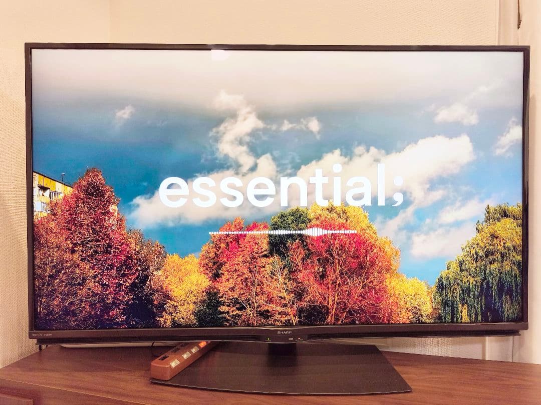 (完動品)SHARP 50インチ液晶テレビ 4T-C50BN1