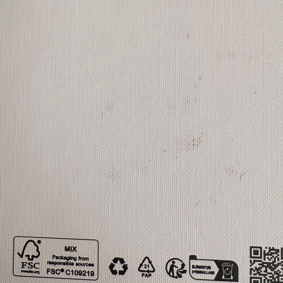 CELINE セリーヌ トリオンフ ピアス