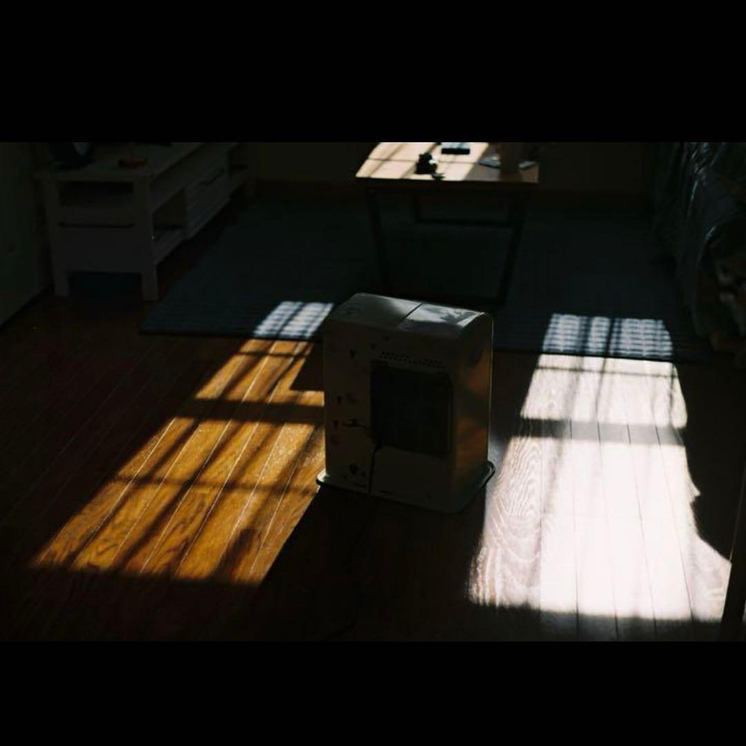 【実写済み】完動品 Canon autoboy mini T フィルムカメラ