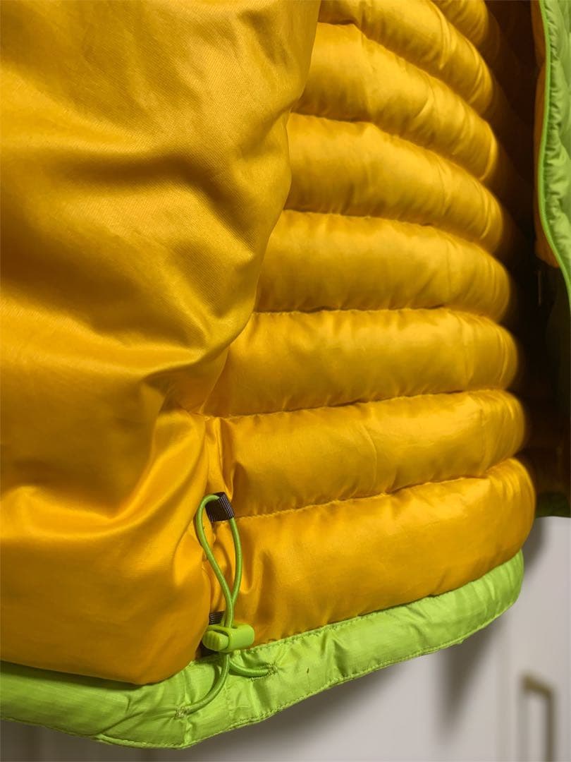 【希少カラー】Patagonia ダウンセーターベスト S ライムグリーン