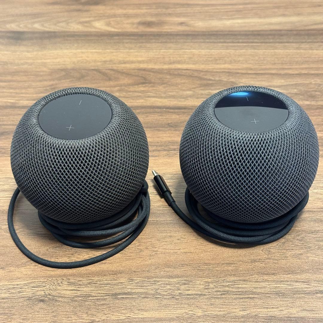 Apple Pod mini スペースグレイ 2個セット