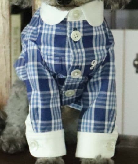 9日まで特別価格 アトリエGG　秋の図書館 BOY