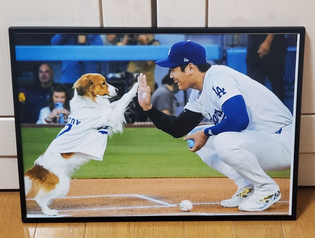 ぽこた ドジャース大谷翔平 MLB ！A3ポスターフレーム付きセット