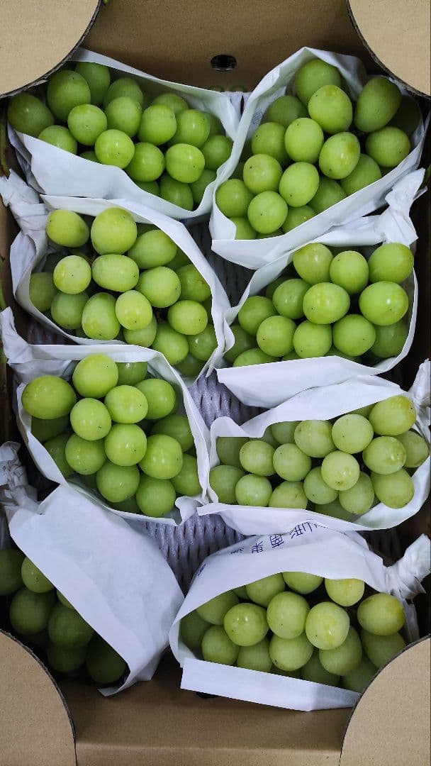 ポ*ー様 シャインマスカット　5キロ　8入　山形県産