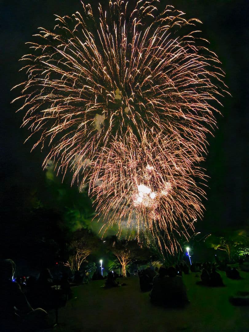 国内版Xiaomi 14T Pro 256GB 12GB FeliCa搭載