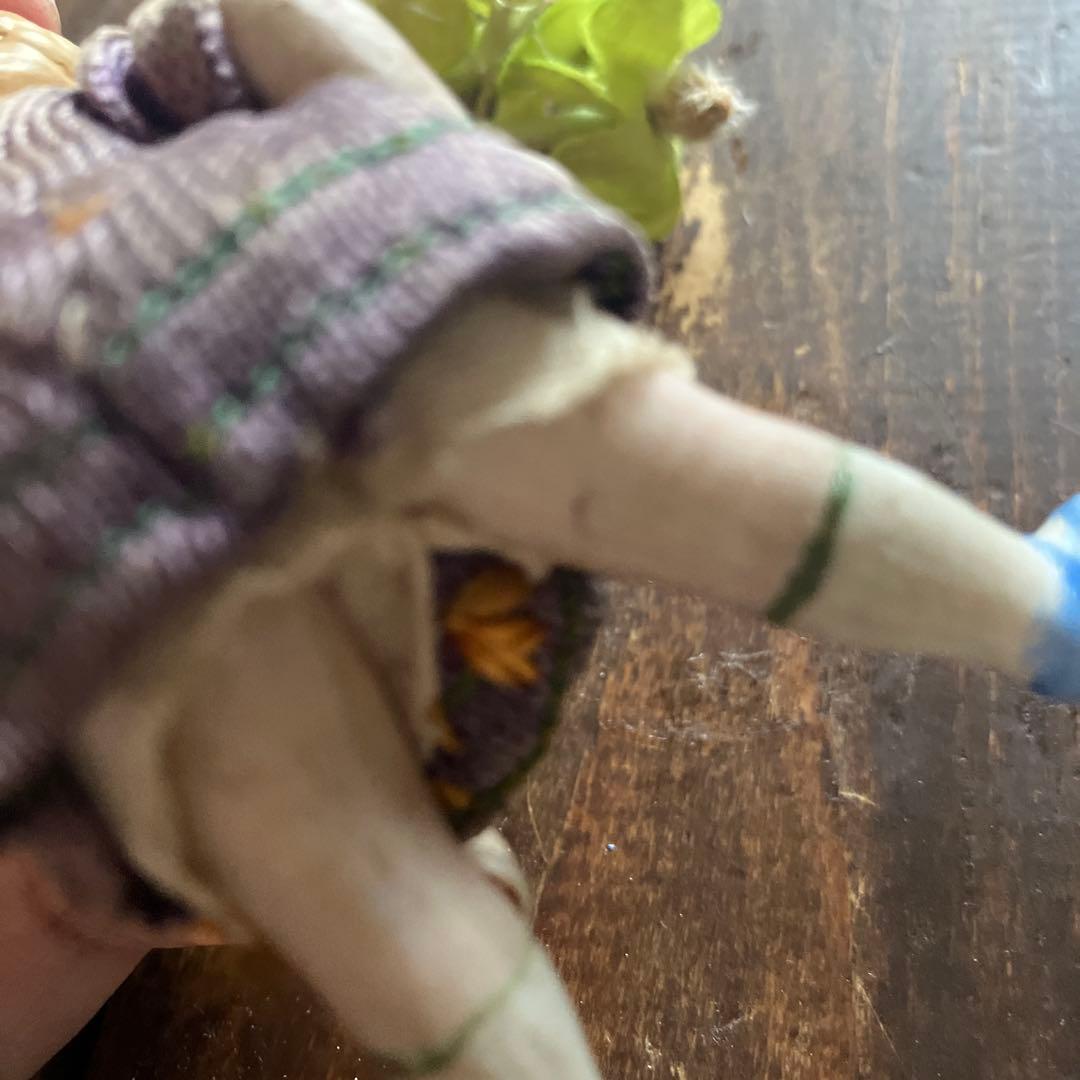 専用　ミニョネット