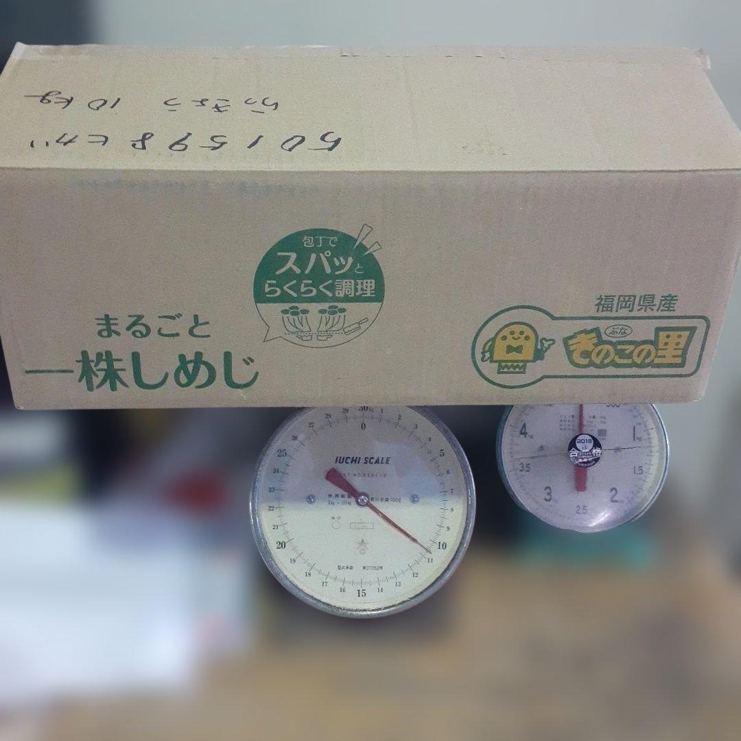 沖縄県産♪島らっきょう10㎏