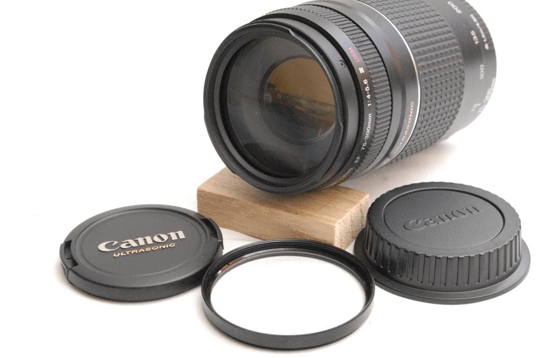 CANON ZOOM LENS EF 75-300mm 1:4-5.6 ⅢUSM