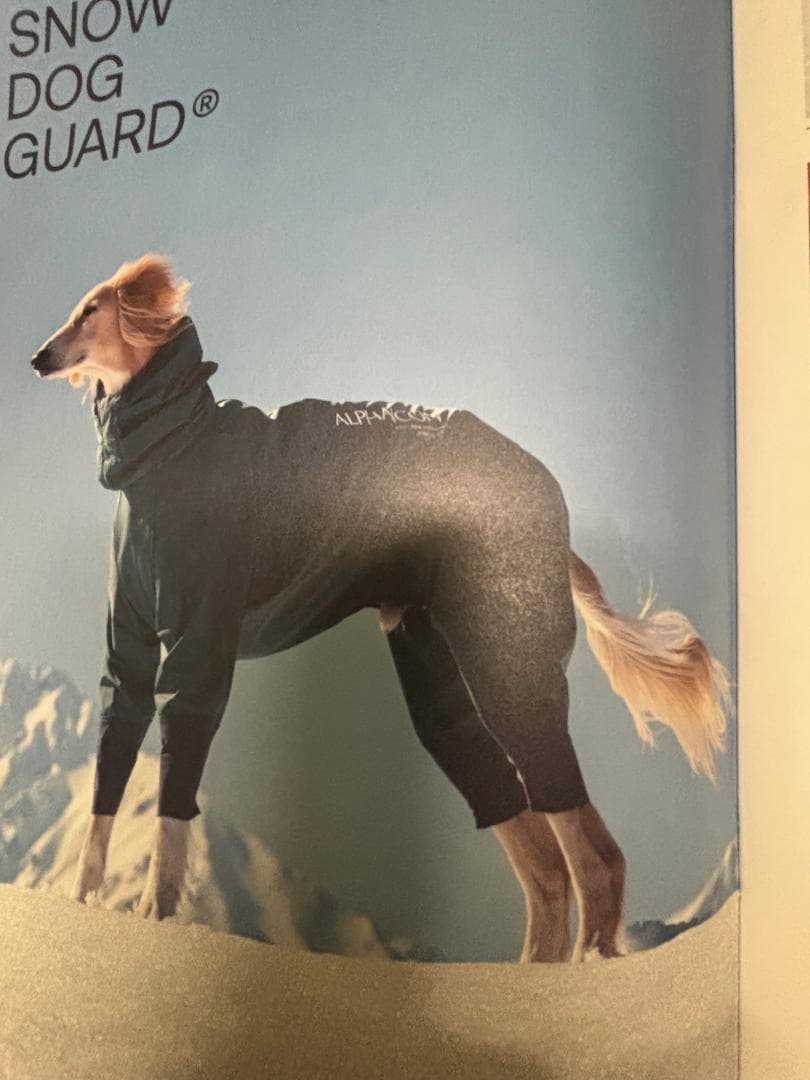 ALPHAICON  DOG GUARD 4L (スノーホワイト）