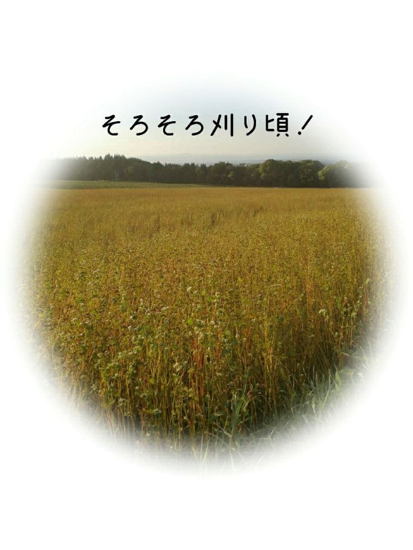 【石臼挽き自家製粉】そば粉 注文用ページ 生産農家直送