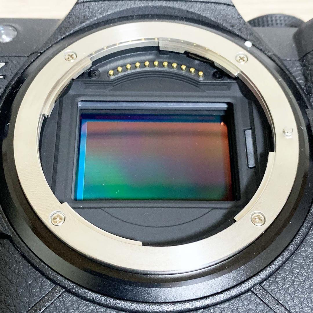 【美品】ニコン Nikon Z9 ボディ デジタル ミラーレス 一眼カメラ