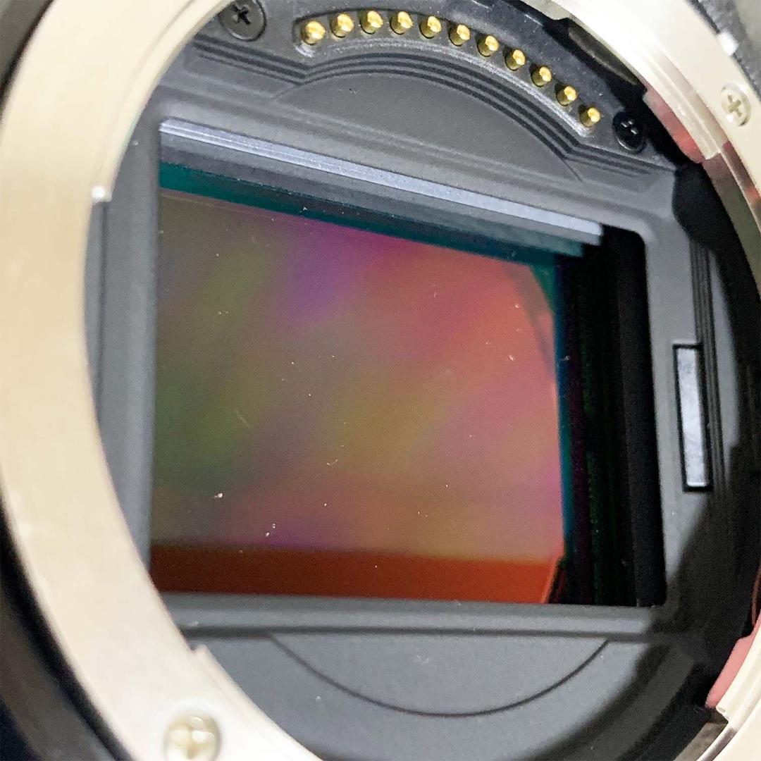 【美品】ニコン Nikon Z9 ボディ デジタル ミラーレス 一眼カメラ