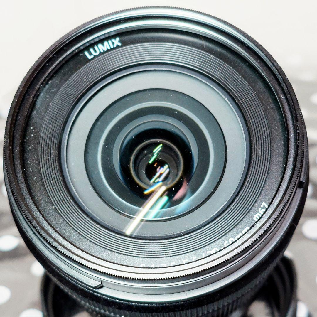 【美品】LUMIX S 20-60mm F3.5-5.6 ライカLマウント