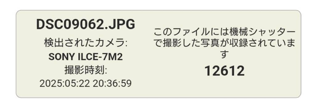 SONY α7Ⅱ ボディ ILCE-7M2