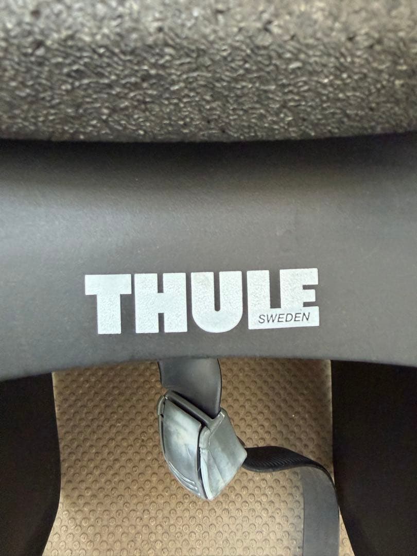 Thule Yepp Nexxt Maxi 自転車用チャイルドシート