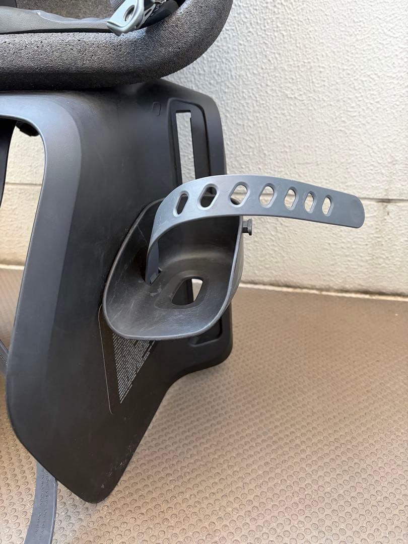 Thule Yepp Nexxt Maxi 自転車用チャイルドシート