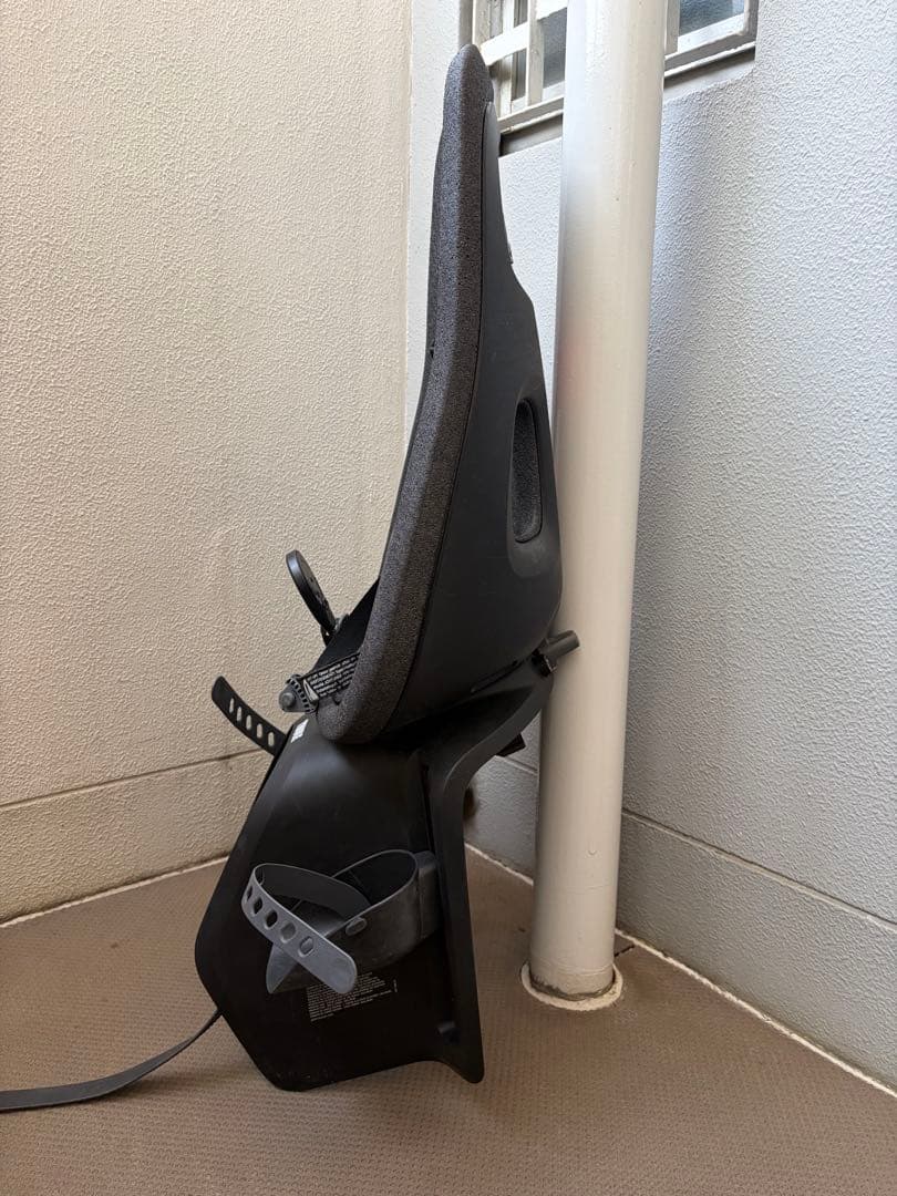 Thule Yepp Nexxt Maxi 自転車用チャイルドシート