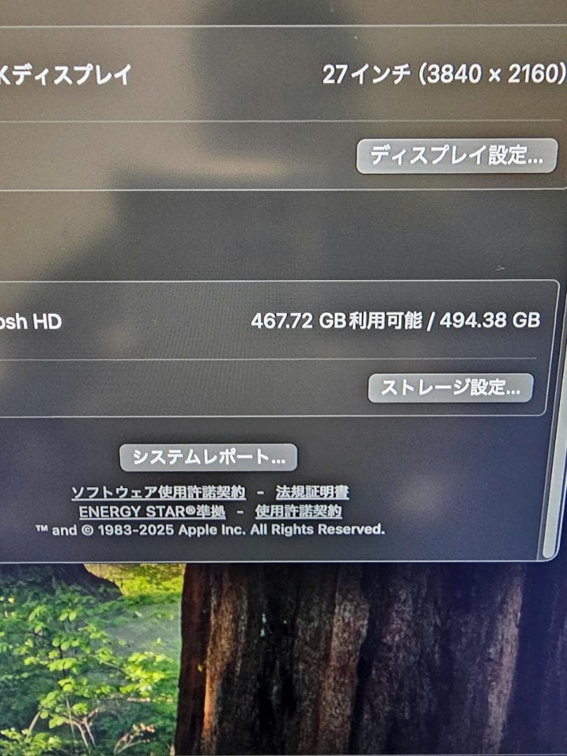 Mac mini M4 Pro 24GB 512GB 保証付